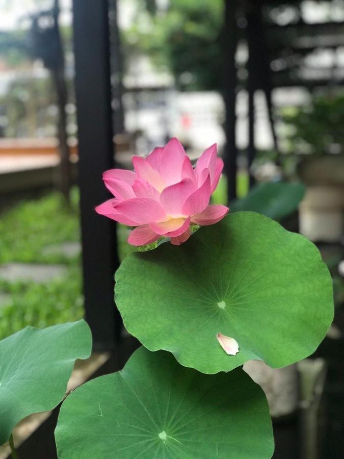 The Wishes Hotel At Chiangmai Chiang Mai Eksteriør bilde